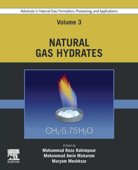 Advances in Natural Gas - 