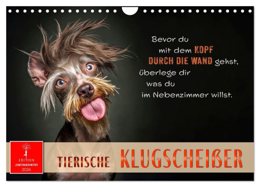 Tierische Klugscheißer (Wandkalender 2026 DIN A4 quer), CALVENDO Monatskalender - Peter Roder