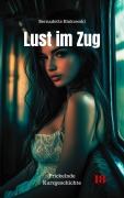 Cover-Bild zum Titel 'Lust im Zug' von 'Bernadette Binkowski'
