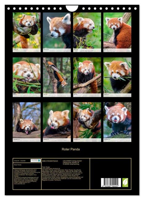 InsideView 5
