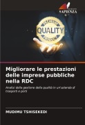 Cover-Bild zum Titel 'Migliorare le prestazioni delle imprese pubbliche nella RDC' von 'Mudimu Tshisekedi'