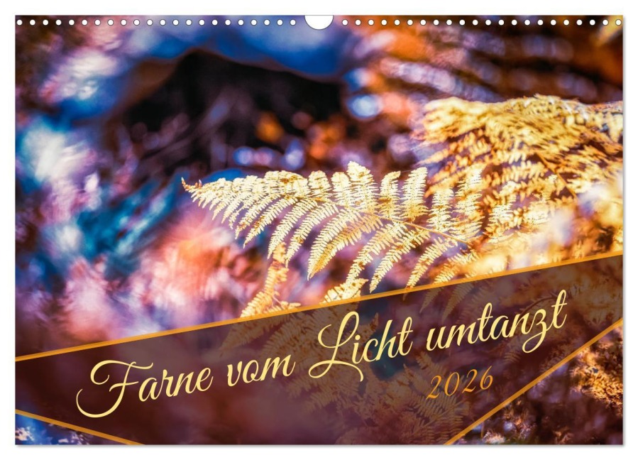 Farne vom Licht umtanzt (Wandkalender 2026 DIN A3 quer), CALVENDO Monatskalender - Nicc Koch