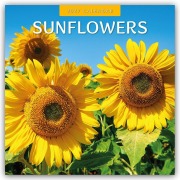 Cover-Bild zum Titel 'Sunflowers - Sonnenblumen 2027 - 16-Monatskalender' von 'Robin Red'