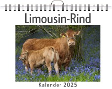 Cover-Bild zum Titel 'Limousin-Rind' von 'Sophia Schmidt'