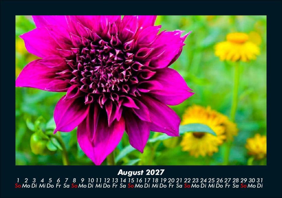 InsideView 12