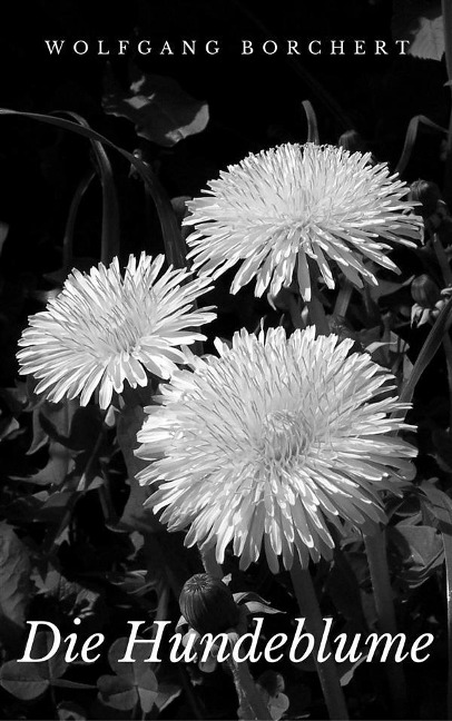 Die Hundeblume - Wolfgang Borchert