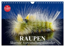 Cover-Bild zum Titel 'Raupen. Skurrile Verwandlungskünstler (Wandkalender 2026 DIN A4 quer), CALVENDO Monatskalender' von 'Elisabeth Stanzer'