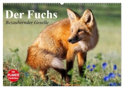 Der Fuchs. Bezaubernder Geselle (Wandkalender 2026 DIN A2 quer), CALVENDO Monatskalender - Elisabeth Stanzer