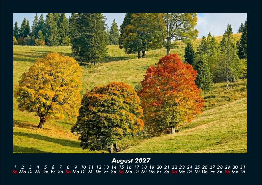 InsideView 12