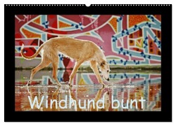 Windhund bunt (Wandkalender 2026 DIN A2 quer), CALVENDO Monatskalender - Kathrin Köntopp