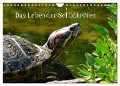 Das Leben der Schildkröten (Wandkalender 2024 DIN A4 quer), CALVENDO Monatskalender - Kattobello Kattobello