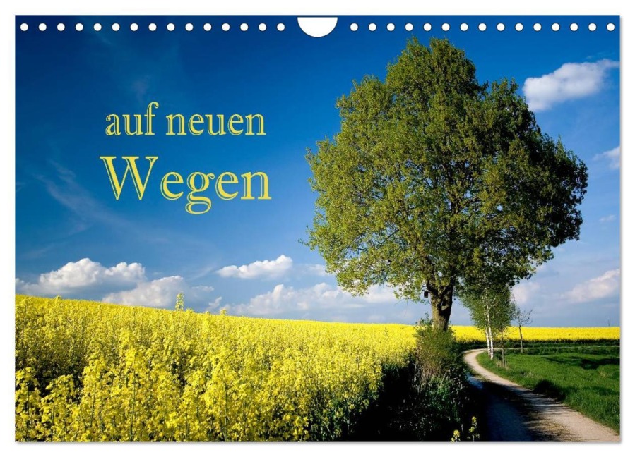 Auf neuen Wegen (Wandkalender 2026 DIN A4 quer), CALVENDO Monatskalender - Hans Pfleger