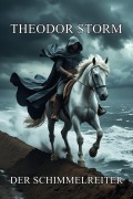 Cover-Bild zum Titel 'Der Schimmelreiter' von 'Theodor Storm'