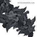 Cover-Bild zum Titel 'Mitochondrial Sun' von 'Mitochondrial Sun'