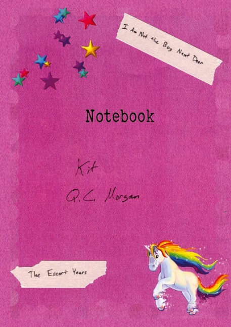 I Am Not the Boy Next Door - Q. C. Morgan