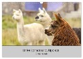 Unter Lamas und Alpakas (Wandkalender 2024 DIN A3 quer), CALVENDO Monatskalender - Oliver Nowak