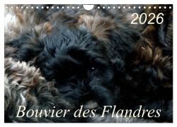 Cover-Bild zum Titel 'Bouvier des Flandres (Wandkalender 2026 DIN A4 quer), CALVENDO Monatskalender' von 'Susan Milau'