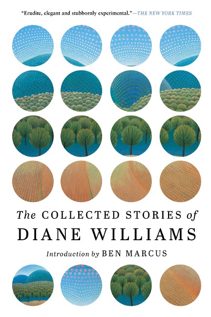 The Collected Stories of Diane Williams - Diane Williams