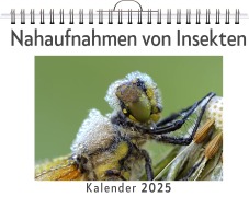 Cover-Bild zum Titel 'Nahaufnahmen von Insekten' von 'Paul Wolf'