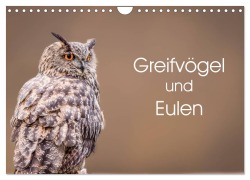 Cover-Bild zum Titel 'Greifvögel und Eulen (Wandkalender 2026 DIN A4 quer), CALVENDO Monatskalender' von 'Markus van Hauten'