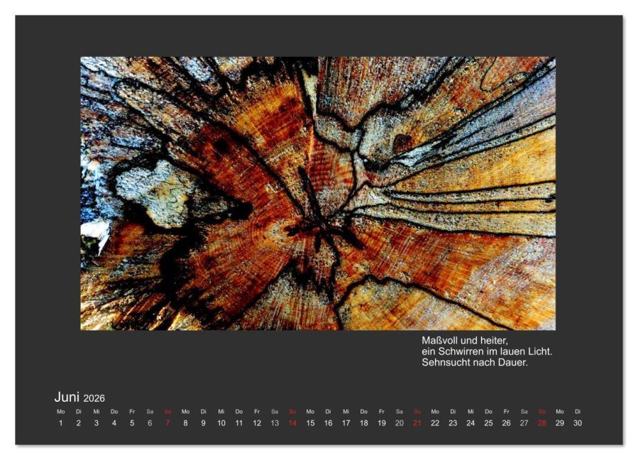 InsideView 11
