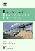 Cover-Bild zum Titel 'Bioenergy - Realizing the Potential' von ''