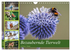 Cover-Bild zum Titel 'Bezaubernde Tierwelt in freier Natur (Wandkalender 2026 DIN A4 quer), CALVENDO Monatskalender' von 'Thorsten Assfalg Photographie'