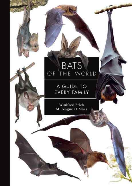 Bats of the World - Winifred Frick, M Teague O'Mara