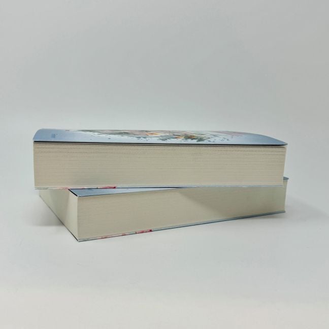 InsideView 5