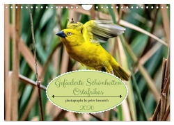 Cover-Bild zum Titel 'Gefiederte Schönheiten Ostafrikas (Wandkalender 2026 DIN A4 quer), CALVENDO Monatskalender' von 'Peter Hennrich'