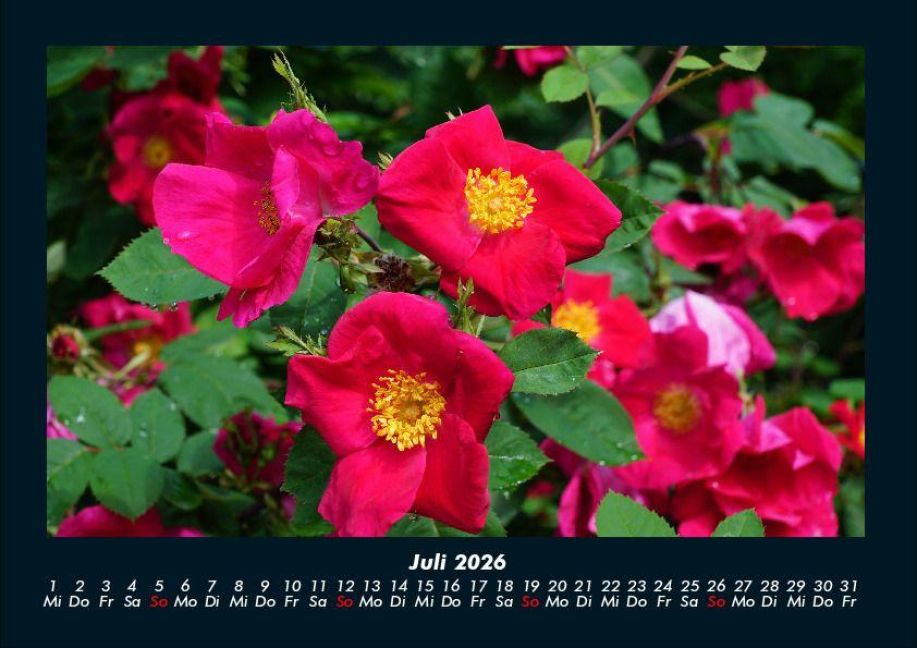 InsideView 11