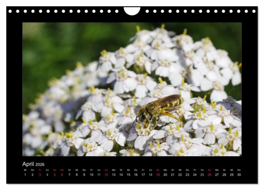 InsideView 9