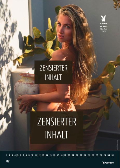 InsideView 3