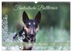 Cover-Bild zum Titel 'Fantastische Bullterrier - Sieger im Herzen (Wandkalender 2026 DIN A3 quer), CALVENDO Monatskalender' von 'Yvonne Janetzek'