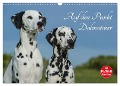 Auf den Punkt - Dalmatiner (Wandkalender 2024 DIN A3 quer), CALVENDO Monatskalender - Sigrid Starick