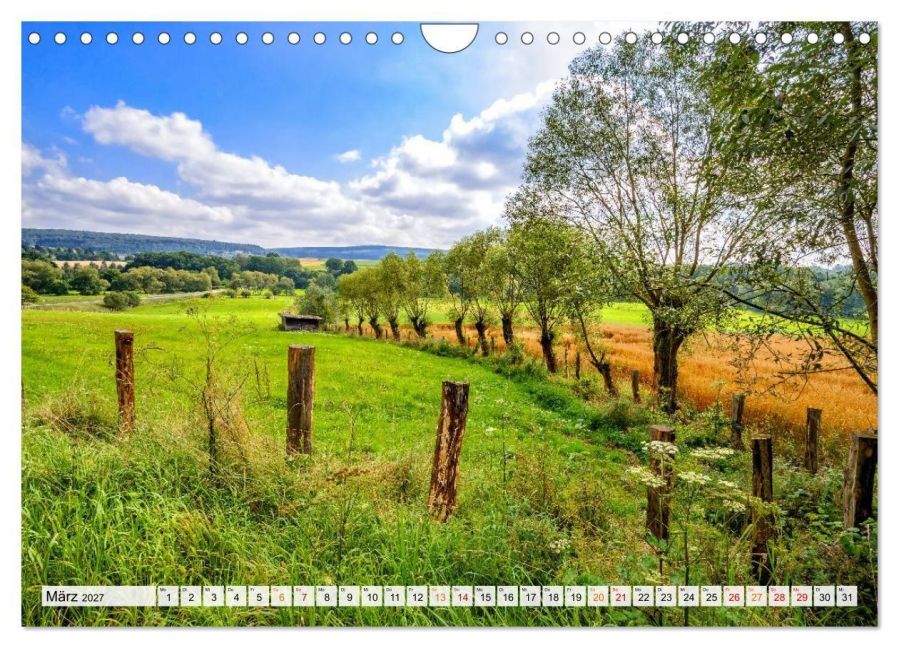 InsideView 8