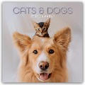 Cats and Dogs - Katzen und Hunde 2025 - 16-Monatskalender - Gifted Stationery Co. Ltd