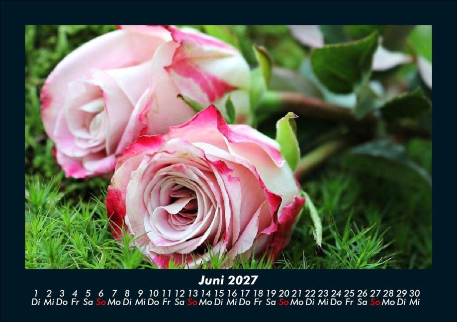 InsideView 10