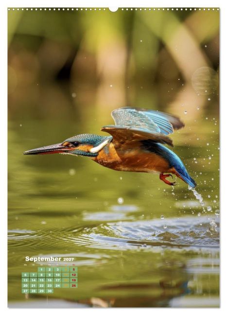 InsideView 14