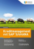 Cover-Bild zum Titel 'Kreditmanagement mit SAP S/4HANA' von 'Silke Breest'