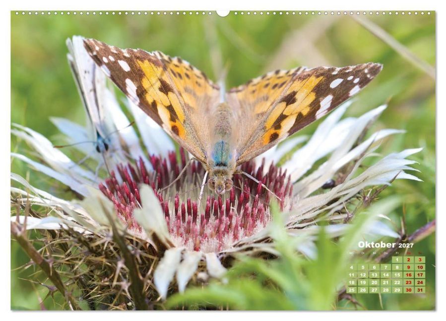 InsideView 2
