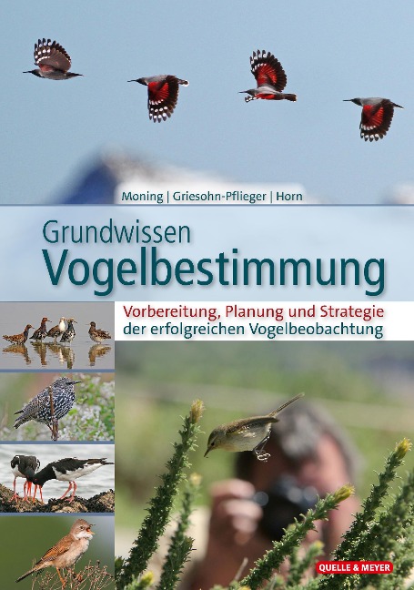 Grundwissen Vogelbestimmung - Christoph Moning, Thomas Griesohn-Pflieger, Michael Horn