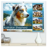 Australian Shepherd. Wanderfreude auf Pfoten im Bergsommer (hochwertiger Premium Wandkalender 2026 DIN A2 quer), Kunstdruck in Hochglanz - Rose Hurley