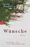 Cover-Bild zum Titel 'Wünsche' von 'Judith Kuckart'