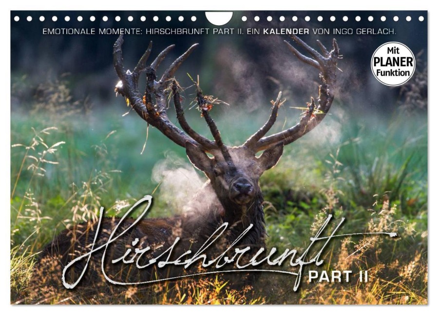Emotionale Momente: Hirschbrunft. Part II. (Wandkalender 2025 DIN A4 quer), CALVENDO Monatskalender - Ingo Gerlach GDT