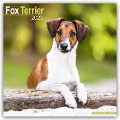 Fox Terrier - Foxterrier 2025 - 16-Monatskalender - Avonside Publishing Ltd