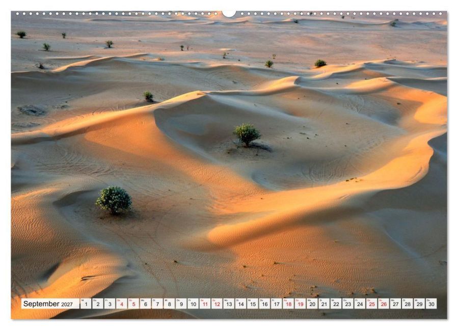 InsideView 14