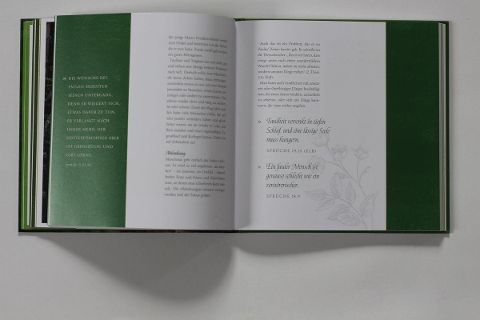 InsideView 3