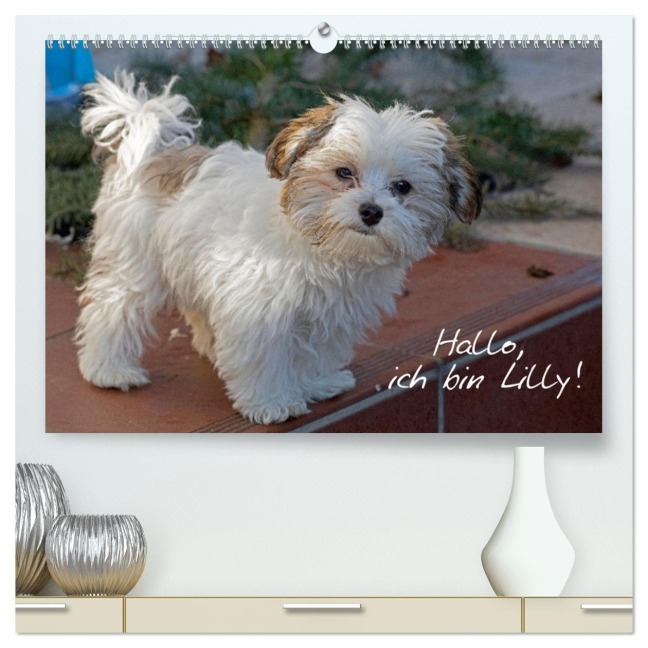 Hallo, ich bin Lilly (hochwertiger Premium Wandkalender 2026 DIN A2 quer), Kunstdruck in Hochglanz - Siegfried Kuttig