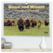 Bison und Wisent - Riesen mit unbändiger Kraft (hochwertiger Premium Wandkalender 2026 DIN A2 quer), Kunstdruck in Hochglanz - Peter Roder